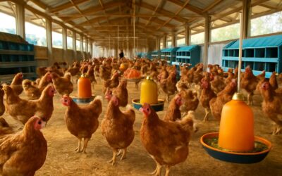 Understanding the GST Implications for Poultry Farm Under GST Regulations