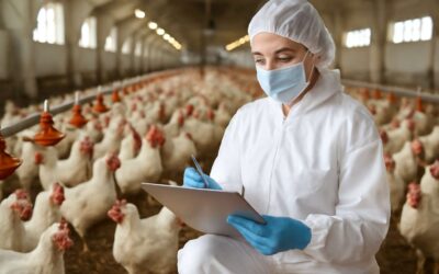 Unlocking Health and Care: The Essential Role of a Poultry Farm Veterinarian in Modern Poultry Farming